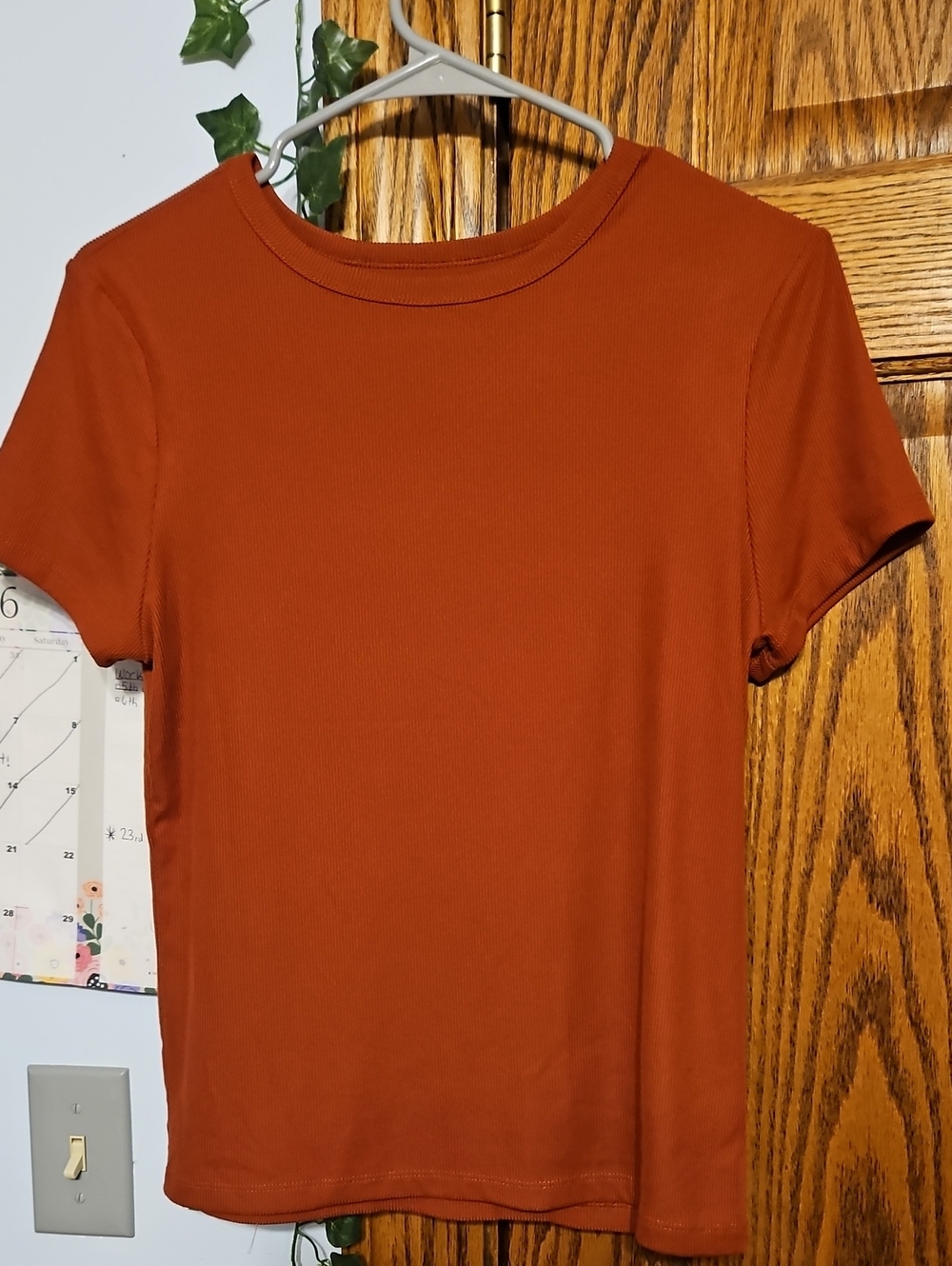 NWOT Classic Short Sleeve Crewneck Top - Rust